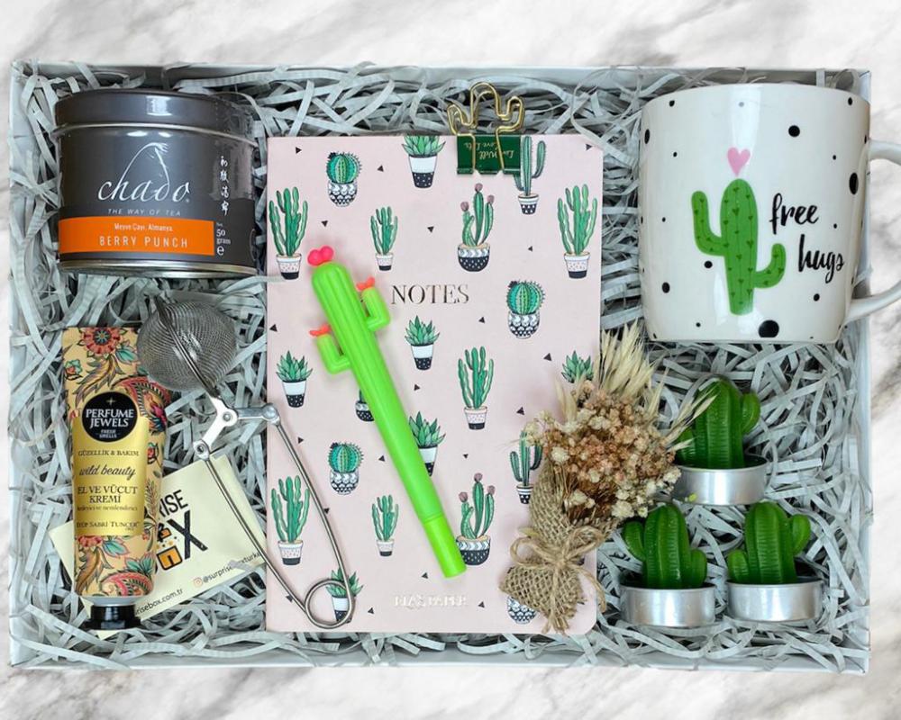Cactus Lovers - 2