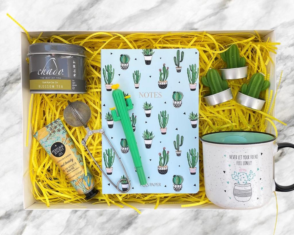 Cactus Lovers Konsept Hediye Kutusu