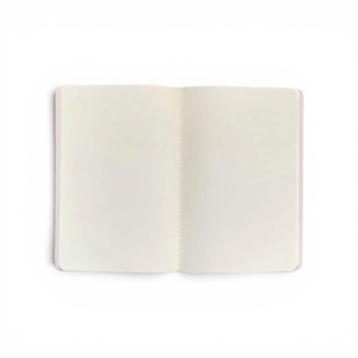 Kaktüs Desenli Pembe Defter | Ela’s Paper