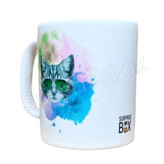 Kedi Renkli Kupa