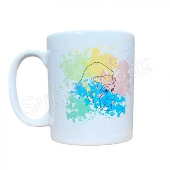 Albert Einstein Kupa