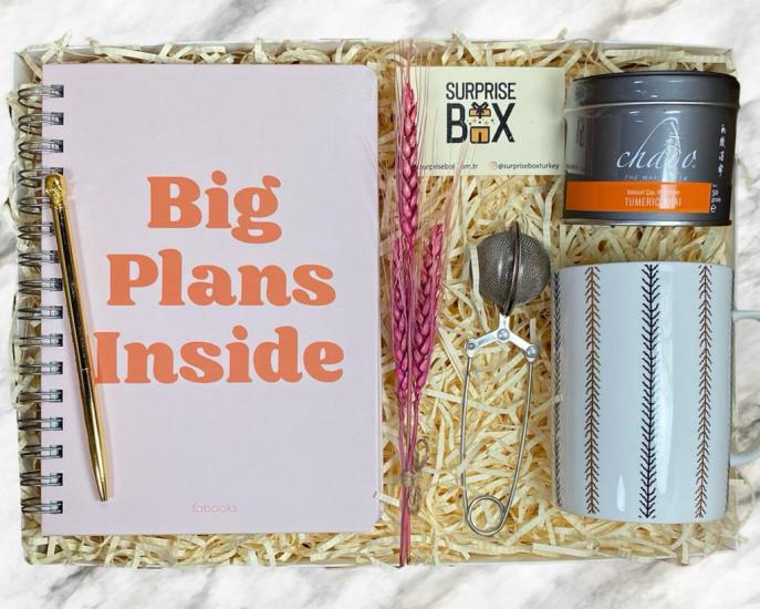 Big Plans Inside