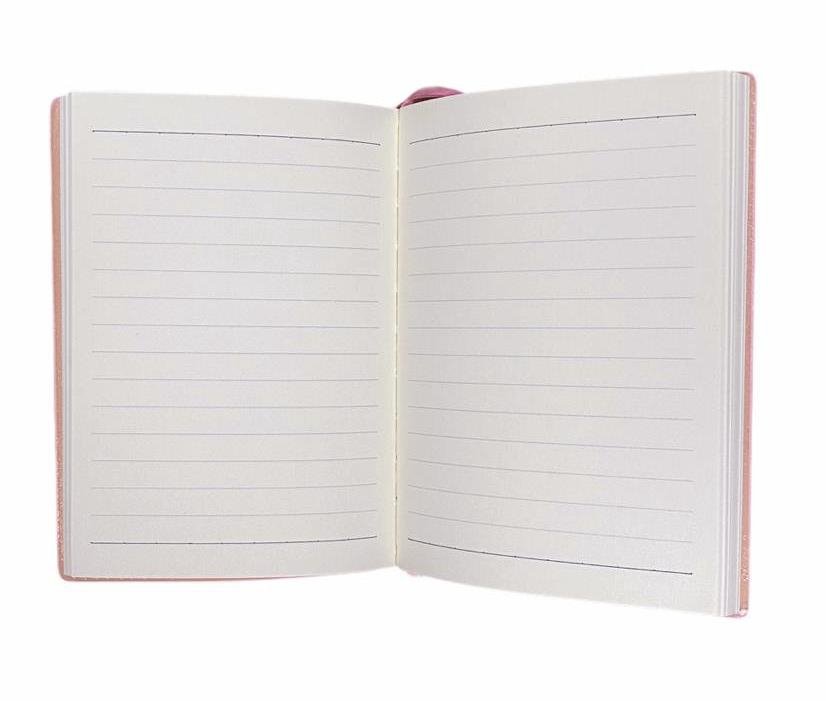The Cat Pembe Defter