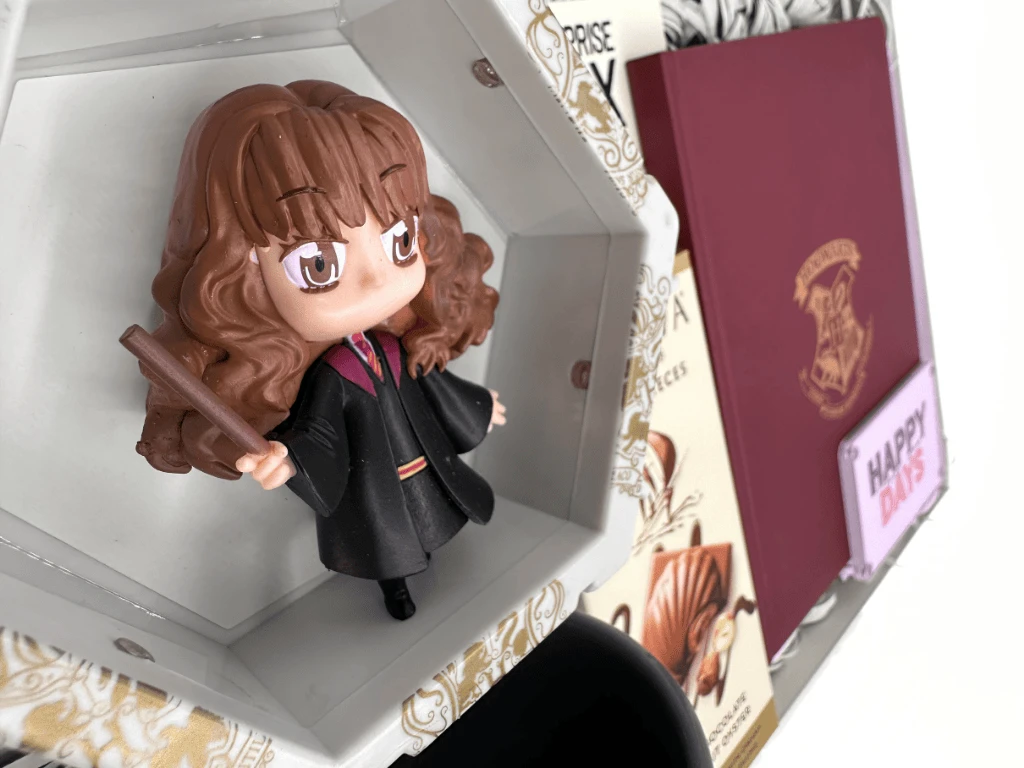 Hermione Granger Konsept Hediye Kutusu